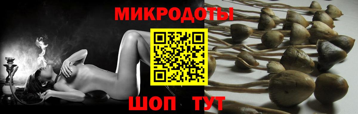 Шатура  Галлюциногенные грибы Psilocybe  Вход с VPN  Псилоцибиновые грибы мухоморы 